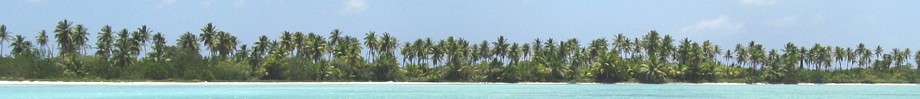Saona